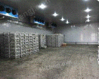 上海地区高价回收大型的冷库