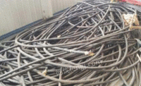 广东地区现金回收废旧电缆