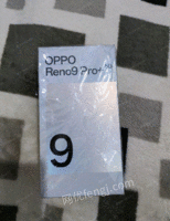 河南洛阳oppo Reno9pro+ 16+512明日金处理