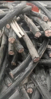 本公司长期大量回收各种废旧电线缆，废铜铝铁等金属