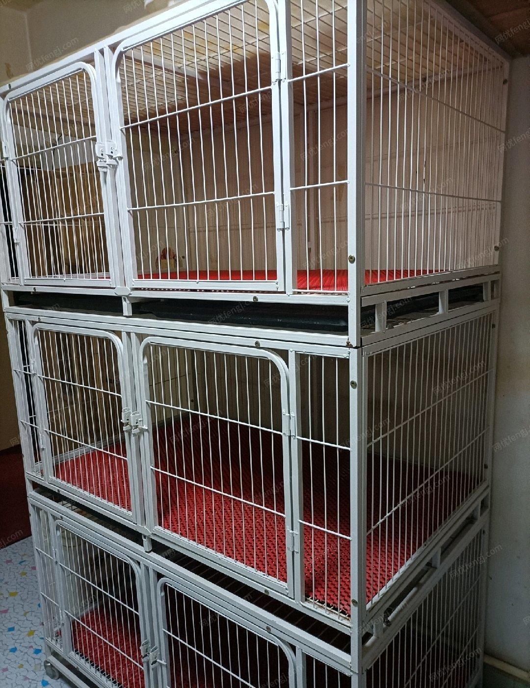 辽宁辽阳闲置猫笼子长1米25，宽800，高1米9转让