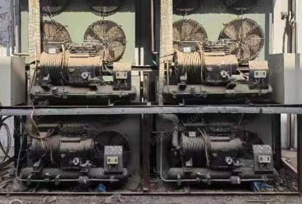 食品厂处理谷轮15P氟利昂制冷机2台（详见图）