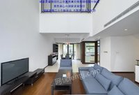 闵行区公寓 无错层!林茵湖畔挑空联排蕞低价!屋况新竞价中:手慢无