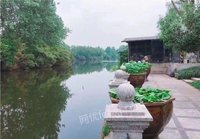 青浦区别墅 北美草原风格,南花园500平米,豪华装修,产权满五年