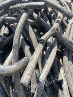 废旧高压电缆出售