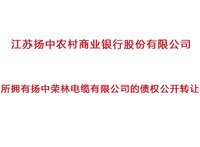 第一次
扬中农村商业银行所拥有对扬中荣林电缆有限公司的债权公开转让处理招标