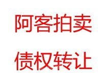 胡×兰、刘×元的债权转让-天津处理招标