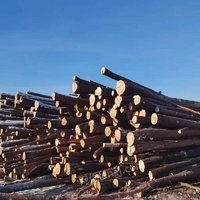 内蒙古森工集团阿里河森林工业有限公司森林可持续经营3414立方米松木原条公开转让(400元/每立方米)招标