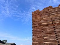 柳州市鸿联木业有限公司桉木单板（1.27*0.63*0.0022m）采购交易项目招标