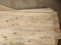 鹿寨县森鑫源发木业有限公司一级（1270*630*2.8mm）桉木单板转让项目招标