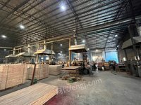 柳州市鸿联木业有限公司桉木大芯板（1220*2440*30mm）转让项目招标