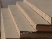 柳州市鸿联木业有限公司桉木大芯板（1220*2440*33mm）转让项目招标