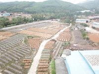 鹿寨县创庆木业有限公司统板（960*480*2.2）杉单板板材转让项目招标