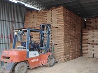 鹿寨县名扬木业有限公司一级（970*640*2.2）桉单板板材转让项目招标