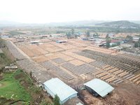 柳州市鹿寨县森兴木业有限公司桉木单板转让项目招标