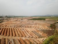 鹿寨县信通木业有限公司统板（960*480*2.1）杉单板板材转让项目招标