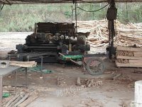 鹿寨县信通木业有限公司统板（960*480*2.1）杉单板板材转让项目招标