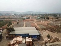 鹿寨县信通木业有限公司统板（960*480*1.85）桉单板板材转让项目招标