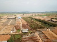 鹿寨县信通木业有限公司一级（1270*630*2.2）桉单板板材转让项目招标