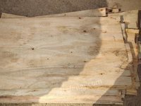 鹿寨县森鑫源发木业有限公司二级（1270*630*2.8mm）桉木单板转让项目招标