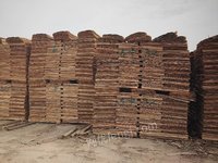 鹿寨县森鑫源发木业有限公司一级（1270*630*3.2mm）桉木单板转让项目招标