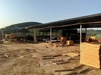 鹿寨县森鑫源发木业有限公司一级（1270*630*3.2mm）桉木单板转让项目招标