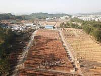 鹿寨县森鑫源发木业有限公司一级（1270*630*2.8mm）桉木单板转让项目招标