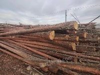 莫尔道嘎森工公司2023年约14000立方米（单价420元/立方米，总价588万元）木材转让项目(二次挂牌)招标