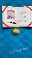 
标的68蜜蜡金蟾茶宠摆件（张锐作品）处理招标