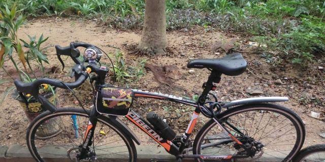 广东广州飞鸽弯把公路自行车出售