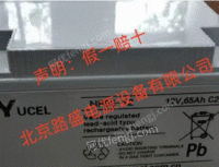YUCEL蓄电池Y65-12IFR12V65H实验仪器仪表医.疗设备UPS电瓶