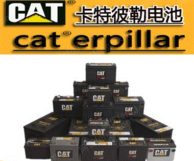 CAT230-636812V80Ah880CCAھõ