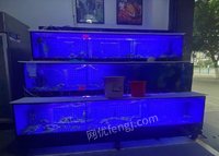 重庆渝北区海鲜鱼缸低价处理(需自提)