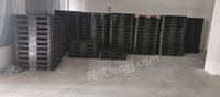安徽亳州进口塑料托盘自己工厂用不到了，低价出售，几乎全新，114*114*14