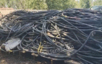 长期大量回收废旧电缆