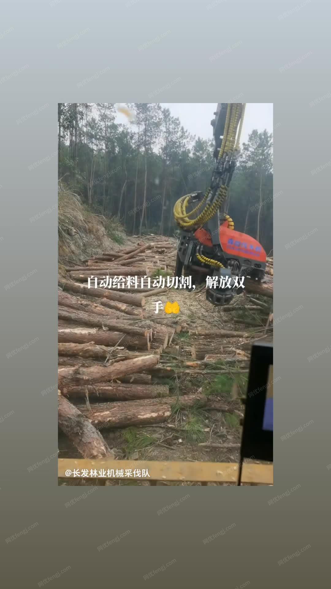 99成新伐木机 视频