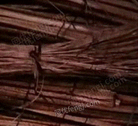 长期回收铜铝　废电缆