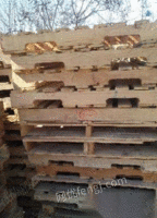山东潍坊回收木托盘，木方，废旧木材