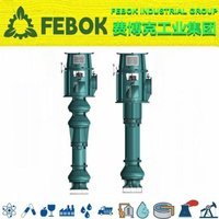 进口立式长轴深井泵 为您提供 不锈钢式 美国FEBOK费博克