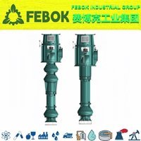 进口不锈钢深井泵 为您提供 不锈钢式 美国FEBOK费博克