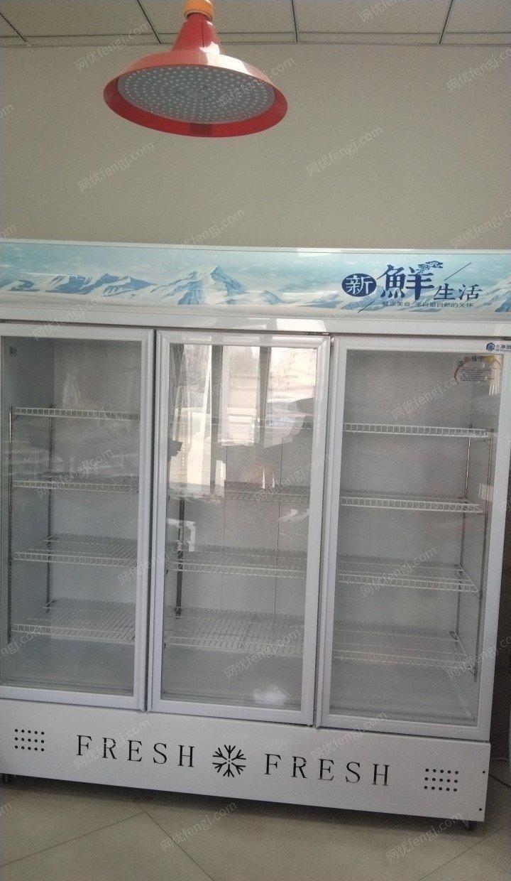 内蒙古包头去年12月买冰柜低价出售