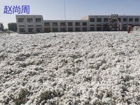 全国专业收购棉花加工厂整厂物资回收