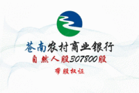 
浙江苍南农村商业银行307800股自然人股权处理招标