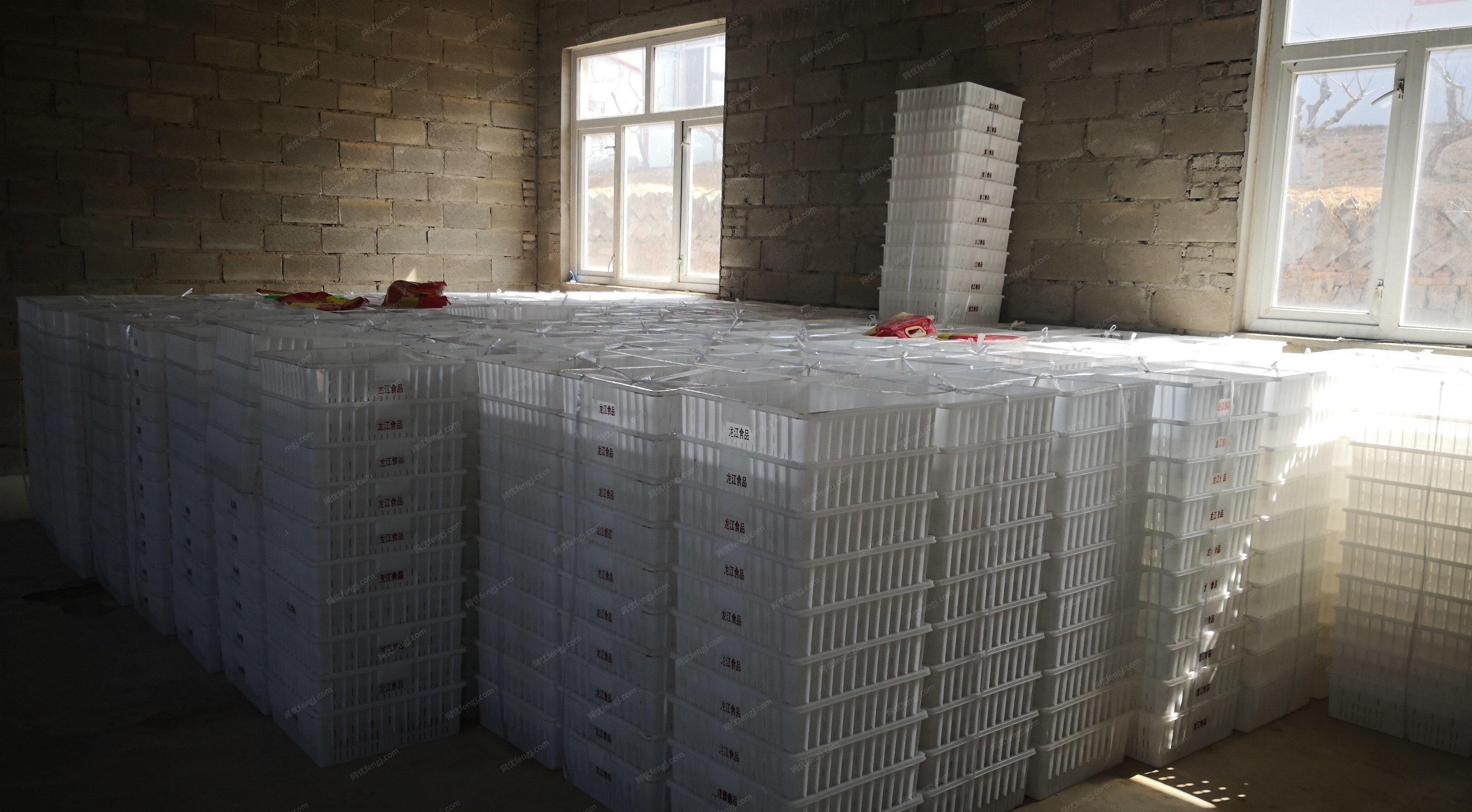辽宁大连2022年大豆腐加工生产设备低价出售，才用了几个月