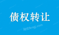 
对胡某洋的不良债权及相应担保从权利处理招标