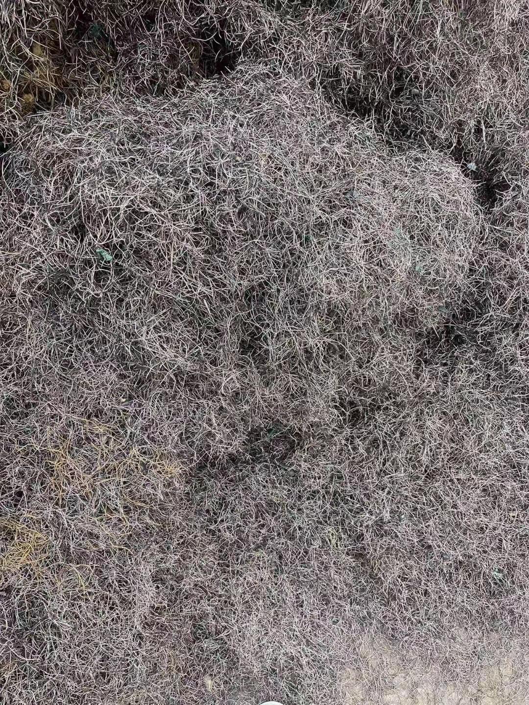 小废(精料)出售