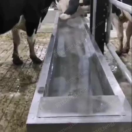 不锈钢恒温饮水槽#电加热牛用牛槽子