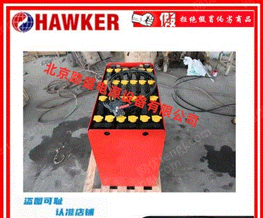 HAWKER泵2PzS310ǣ24V310AH