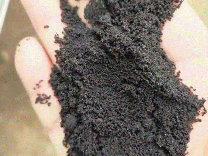 出售铁粉，需要的直接联系 视频