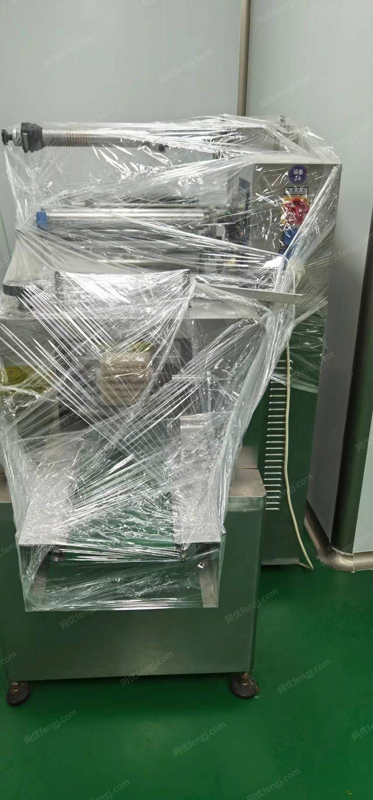 天津东丽区枕式包装机低价出售